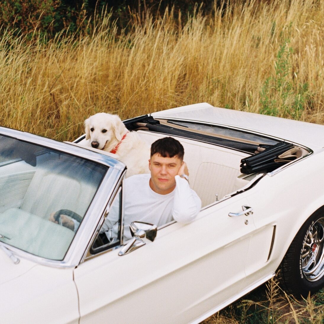 Ivan Thieme - Pressefoto Querformat 2 _ Golden Retriever (Fotocredit Lysanne Godry & Moritz Hintze) Ivan Thieme - Pressefoto Querformat 2 _ Golden Retriever (Fotocredit Lysanne Godry & Moritz Hintze)