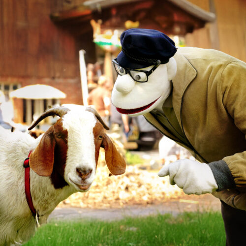 Werner_MomsenMomsen__Tiere__Sensationen0